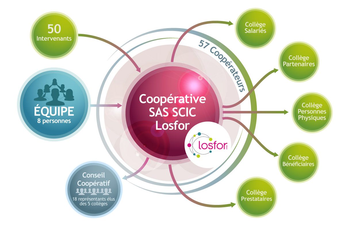 Schéma de gouvernance de coopérative Losfor