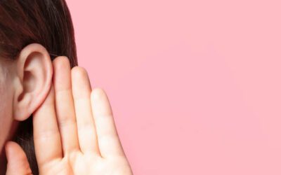 Voir au-delà de l&rsquo;organigramme : ce que la sociologie apporte au management